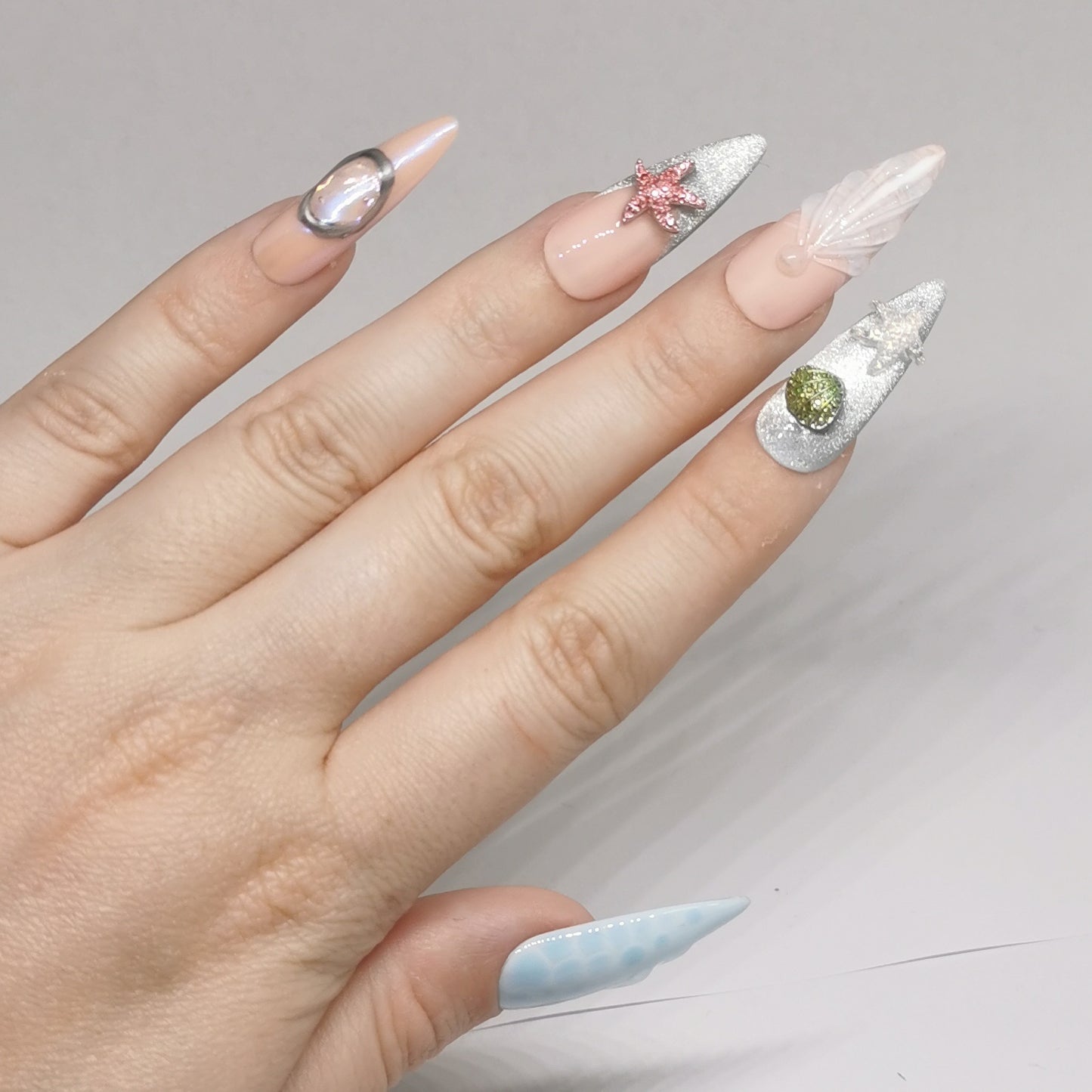 SEASHELL