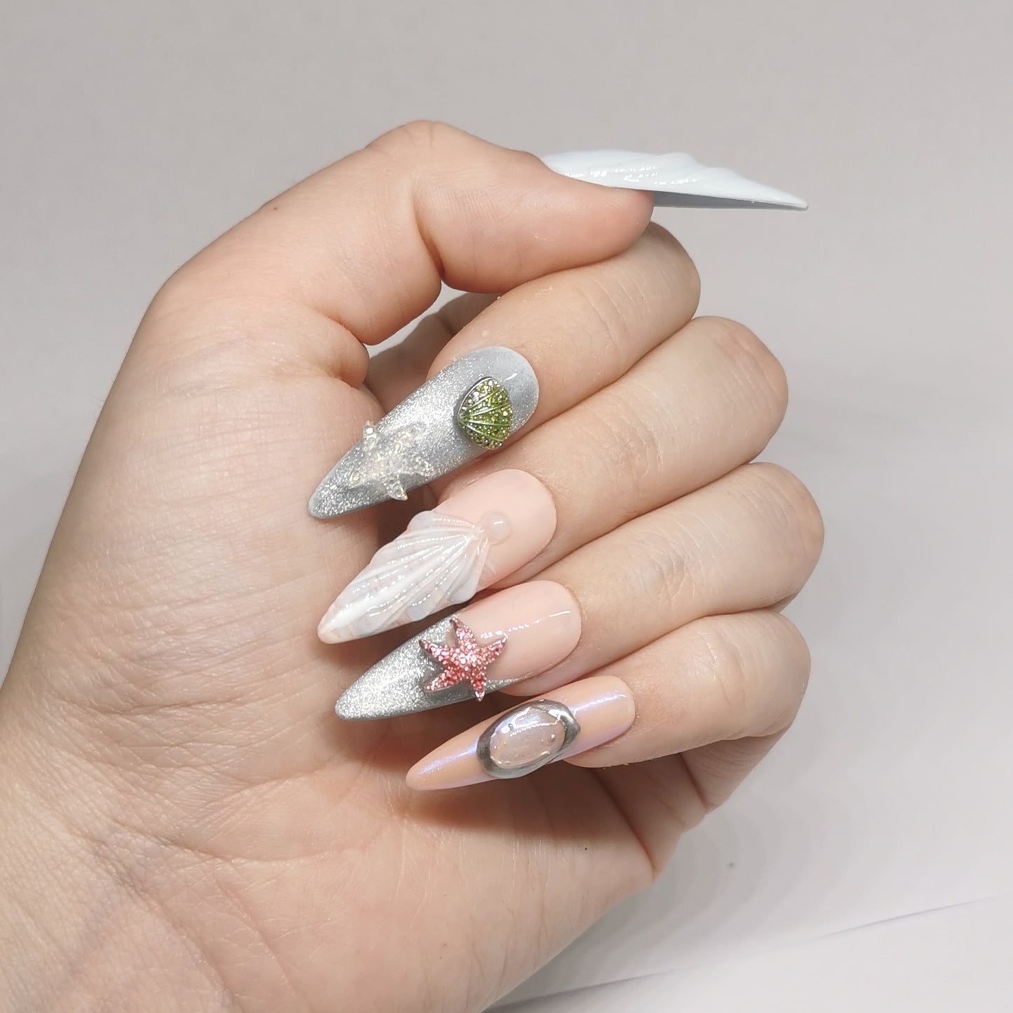 SEASHELL
